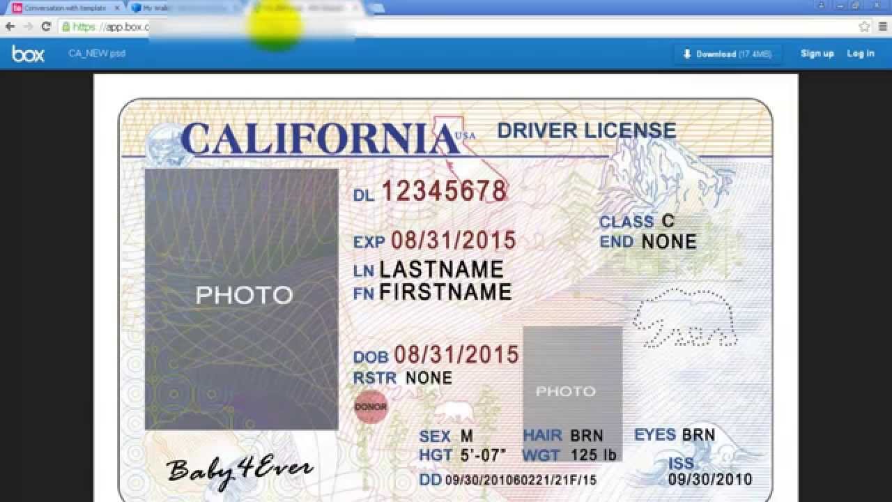 Free State Id Template Download Autosrenew